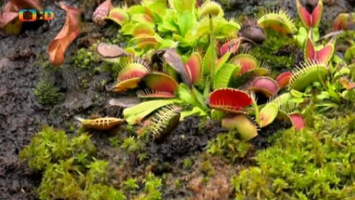 Botanická zahrada Liberec