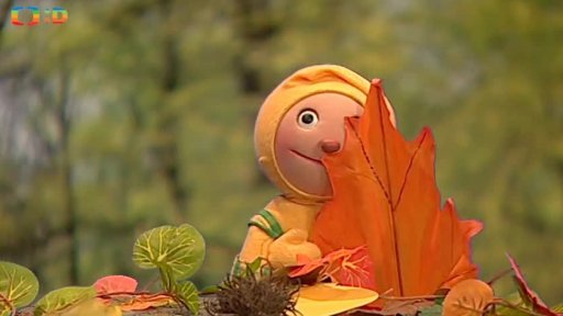 1. vstup: Majda a František