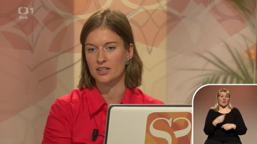 Předmanželské smlouvy - Lada Kičmerová (chat) - 2. část