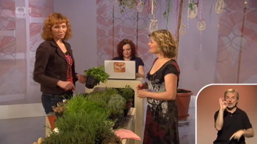 Jarní bylinky a koření K. Rypáčková + anketa