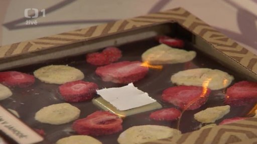 Sušené ovoce - Ing. Martin Valner a Tomáš Huber