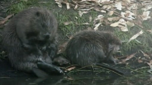 Litovelské Pomoraví