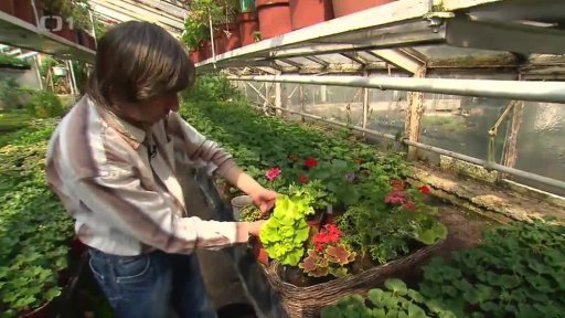 Návštěva zahradnictví