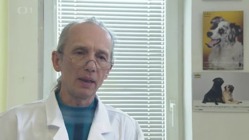 Dovolená se zvířátky