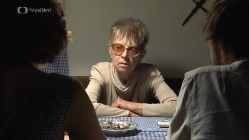 Zkušená návštěva