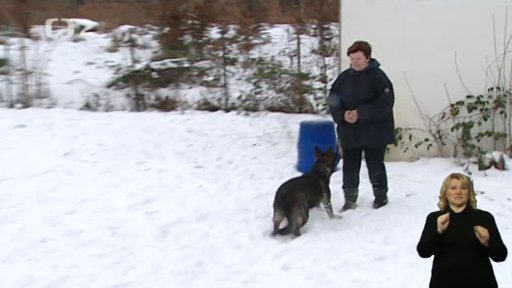 Miniseriál: „Psí řeč“