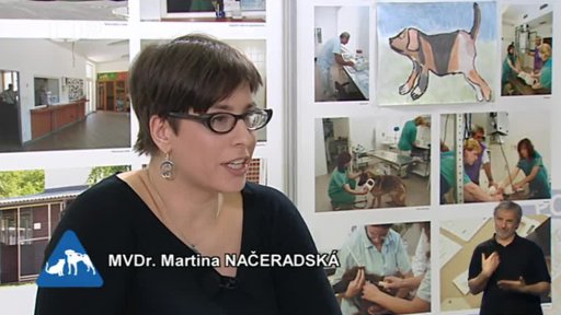 Miniseriál: „Psí řeč“