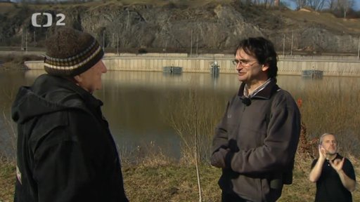 Pták roku 2013: Břehule říční