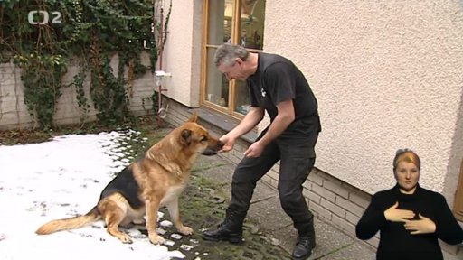 Miniseriál: „Psí řeč“