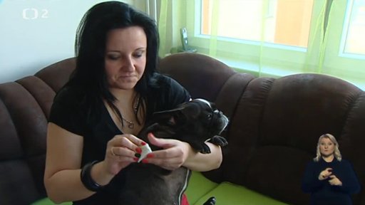 Zachránění buldočci Emilka a Ludvíček