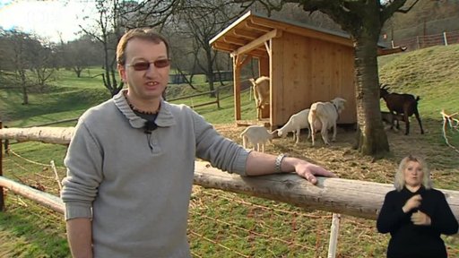 Jak začít s chovem koz