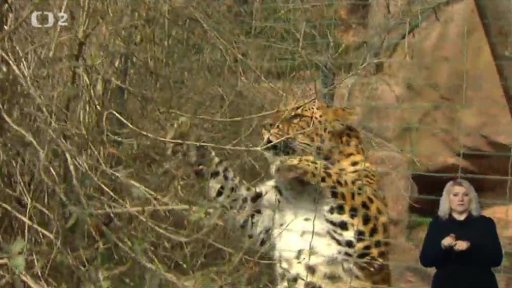 Miniseriál: Rozeznáte je?