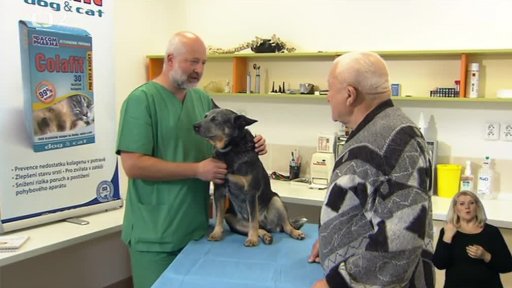 Veterinární poradna