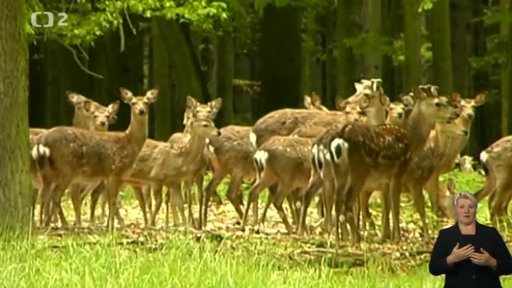 Ochrana přírody očima Karla Makoně