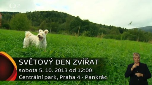 Pozvánka: Světový den zvířat