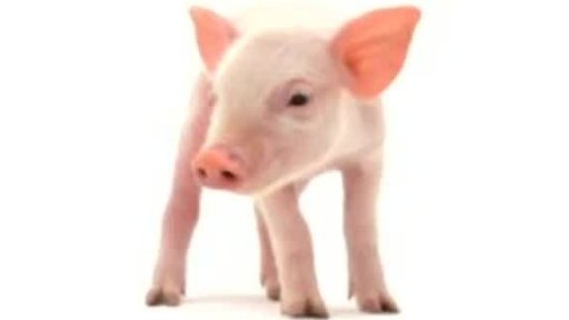 Výzva: Já za to stojím!