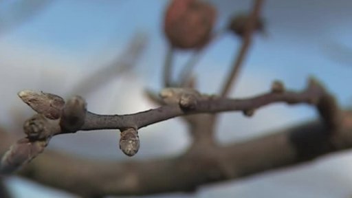 Místo na lyže na kolo