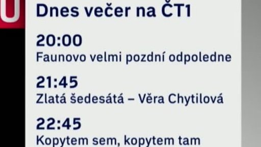 Zemřela Věra Chytilová