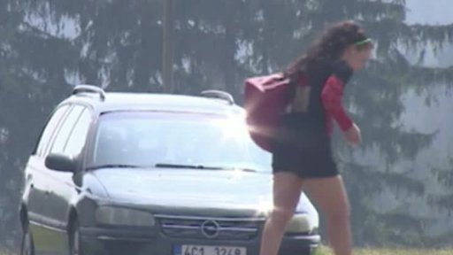 Prostituce ve Dvořišti