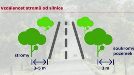 Nový občanský zákoník znemožňuje vysazování nových stromů u silnic