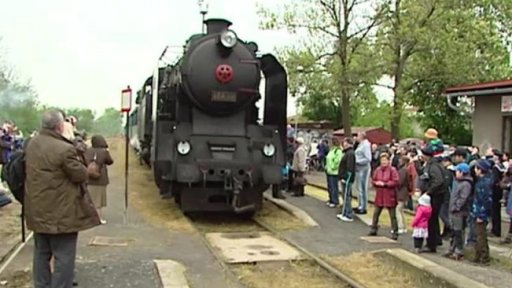 Vůz pro Ferdinanda d'Este