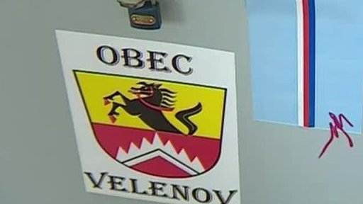 Volby do EP a místní referenda