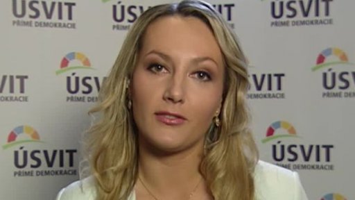 Volby do Evropského parlamentu