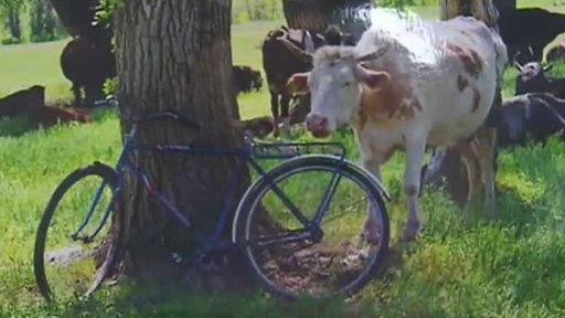 Výtvarná soutěž v Lidicích