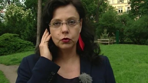 Pochvaly a výtky ČR z Bruselu