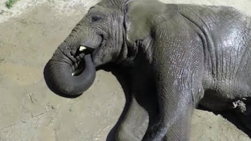 Dehydratace, přehřátí organismu, kolapsy