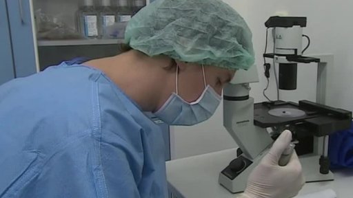 Kmenovými buňkami proti artróze