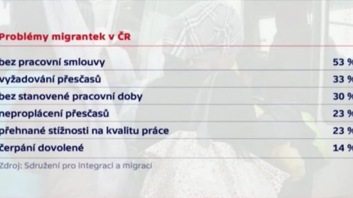 Cizinky v pracovním poměru