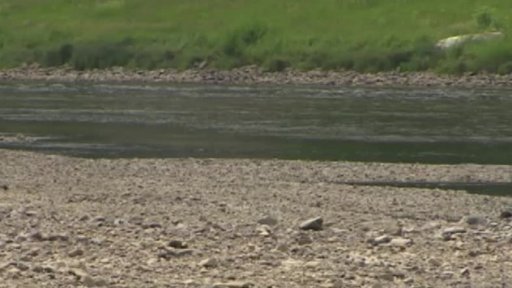 Kontroverzní jez na Labi opět ve hře