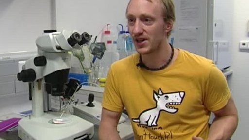 Velké objevy díky malé rybce