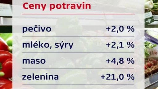 Životní úroveň v Česku