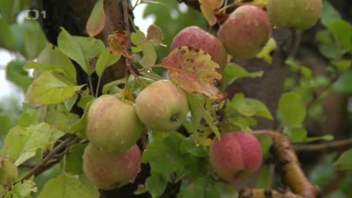 Unijní stopka penězům pro zemědělce