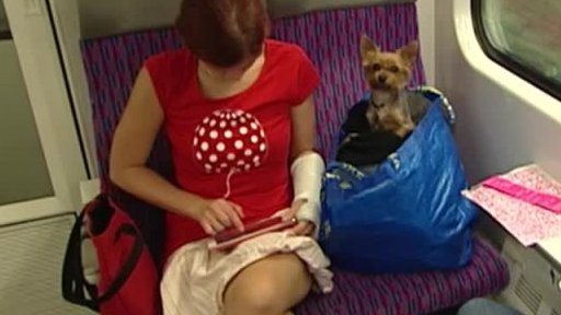 Projekt Čtení ve vlaku