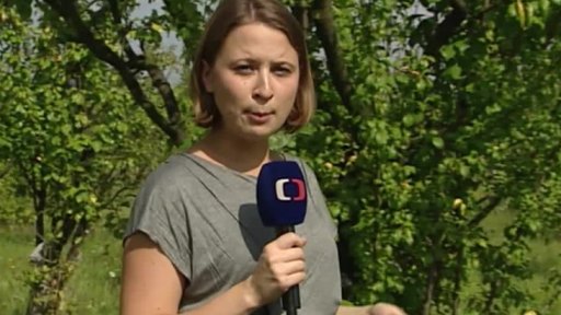 Samosběr ovoce a zeleniny