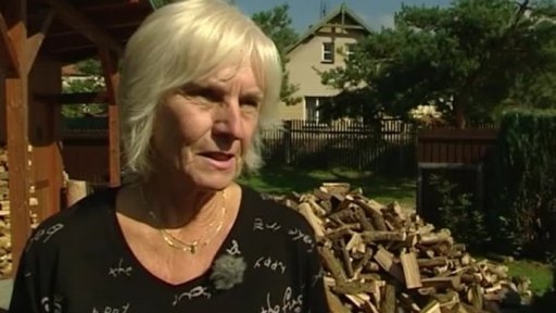 Dřevem topí 300 tisíc domácností