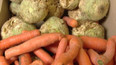 Jak využít neprodanou zeleninu