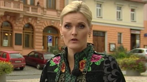 Problémy s insolvenčním zákonem