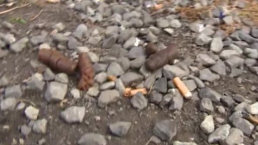 Úklid psích výkalů