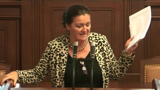 Poslanci o dětských skupinách