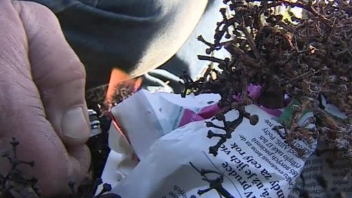 Podzimní úklid zahrádkářů