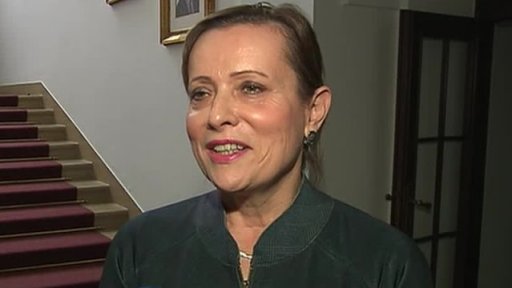 Prezident vs. vláda