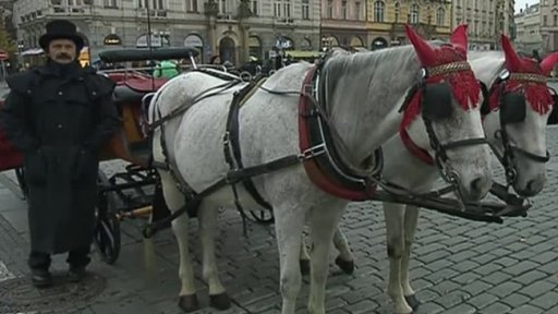 Česká ekonomika na vzestupu