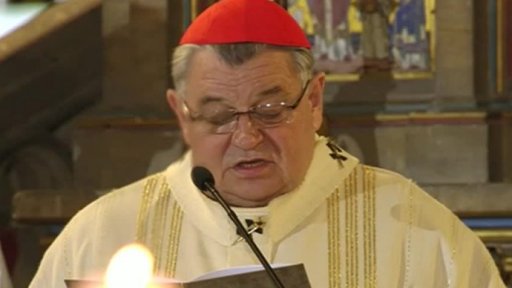 17. listopad ve Vídni