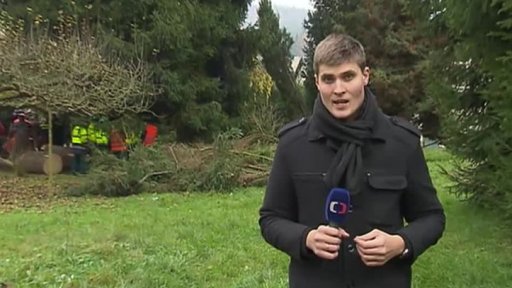 Vánoční strom pro Prahu