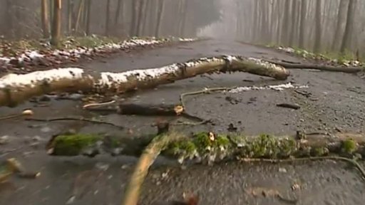 Nebezpečné lesy a parky