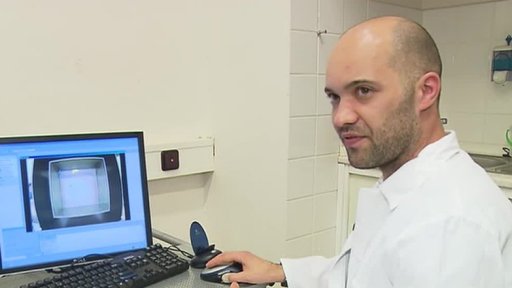 Budoucnost české vědy